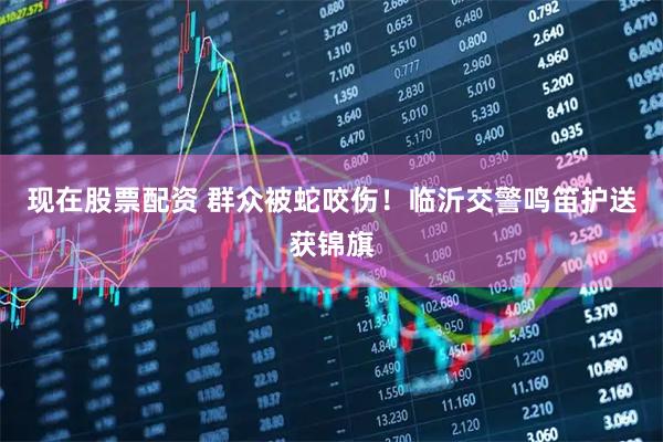 现在股票配资 群众被蛇咬伤！临沂交警鸣笛护送获锦旗